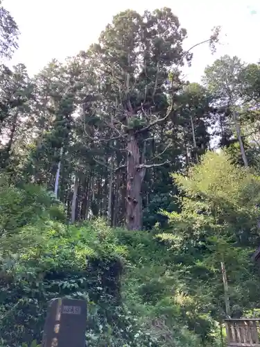 大宮温泉神社のその他建物