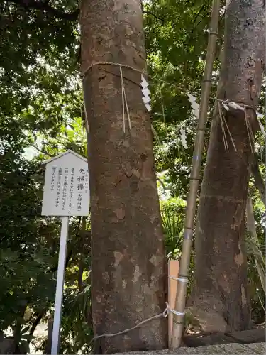 検見川神社(千葉県)