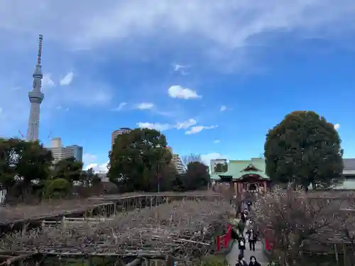 亀戸天神社(東京都)