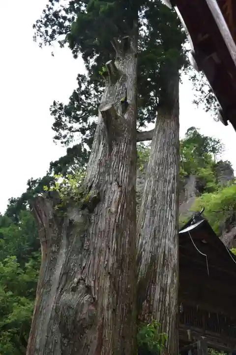 榛名神社の自然
