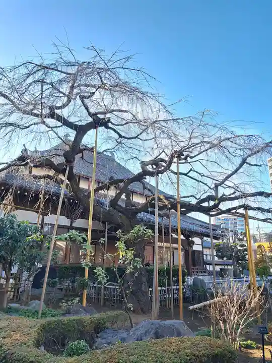 玉蔵院(埼玉県)