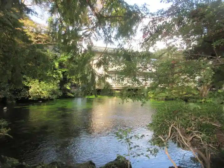 富士山本宮浅間大社(静岡県)