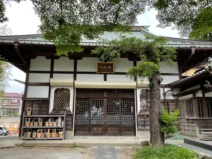 陽林寺の本殿・本堂