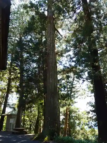 高根白山神社の自然