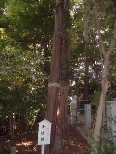 座間神社の自然