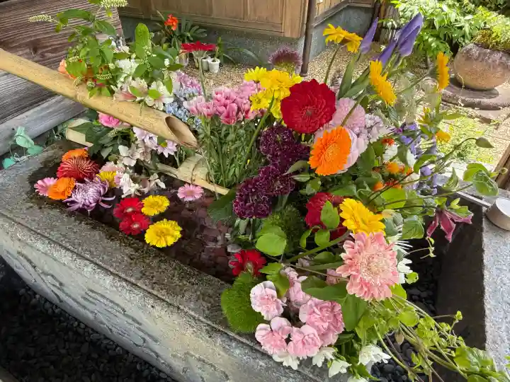 勝林寺(京都府)