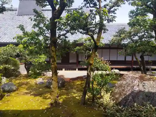 三宝院（三宝院門跡）(京都府)