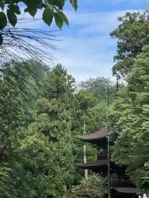 国宝 大法寺(長野県)