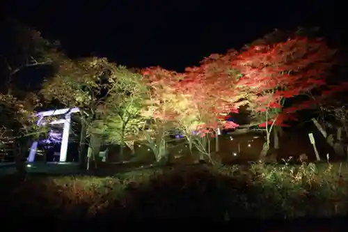 土津神社｜こどもと出世の神さまの景色