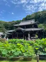 三室戸寺の本殿・本堂