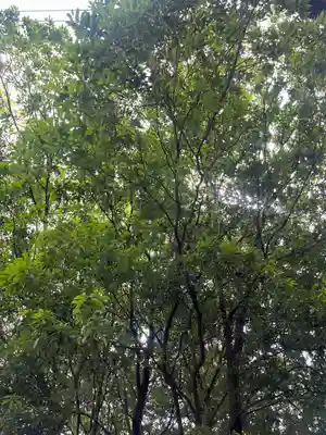 一瓶塚稲荷神社(栃木県)