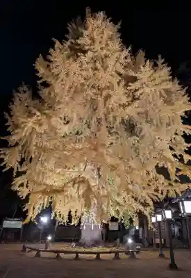 今宮神社(栃木県)