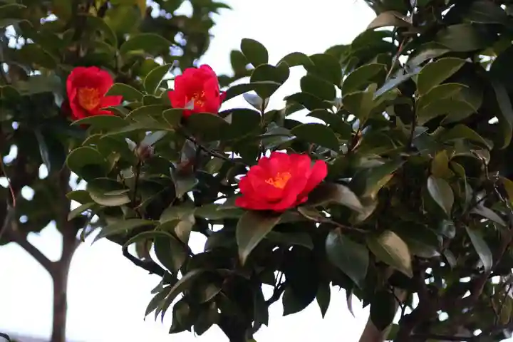 豊景神社の庭園