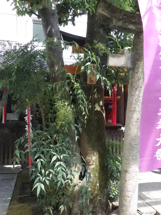 文子天満宮の自然