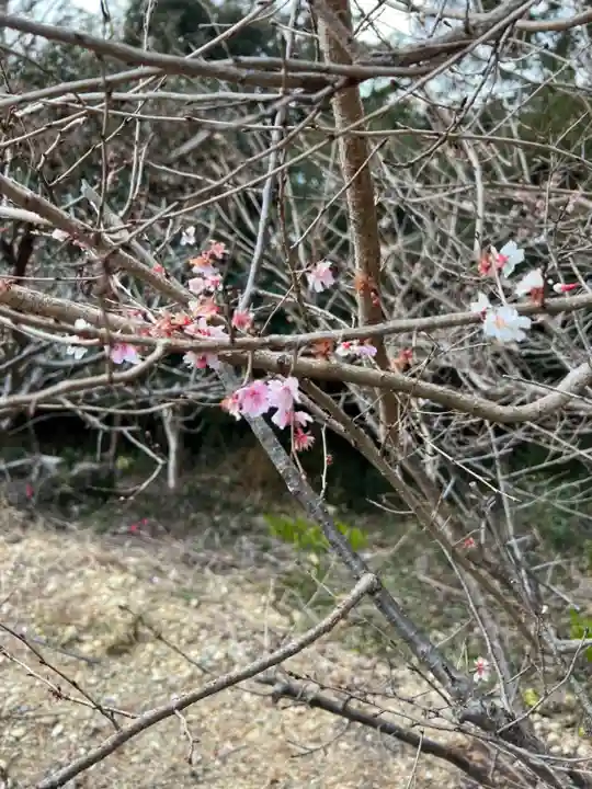 霊犬神社の自然