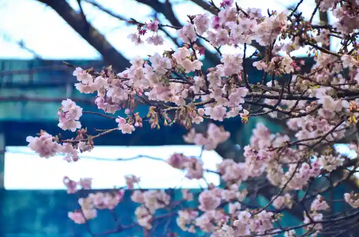 久能山東照宮(静岡県)
