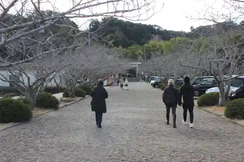 安房神社(千葉県)