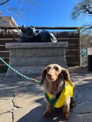 泥牛庵(神奈川県)