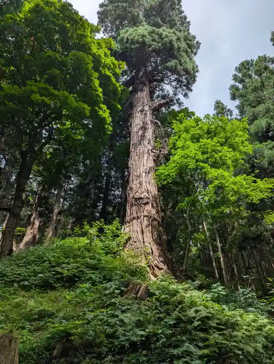 志和稲荷神社(岩手県)