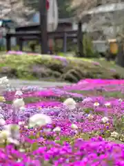 山家神社の自然