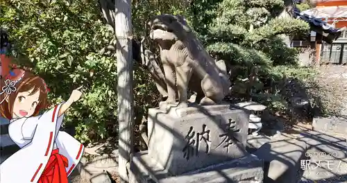 千葉神社の狛犬