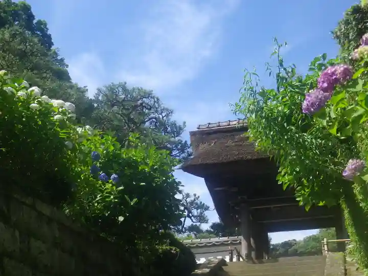 長壽寺(長寿寺)の山門・神門