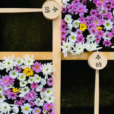 土津神社|こどもと出世の神さまの手水舎