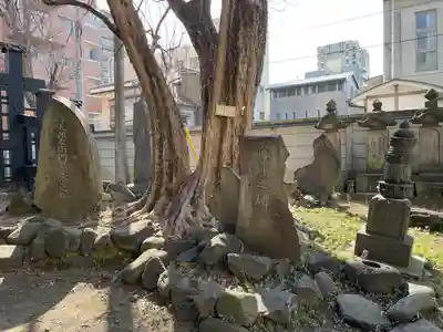 円通寺(東京都)