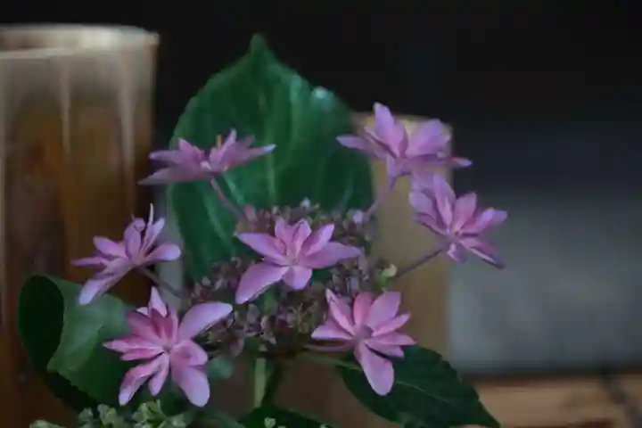 阿邪訶根神社の授与品その他