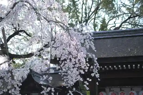 平野神社のその他建物