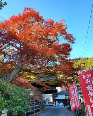 普門寺(切り絵御朱印発祥の寺)(愛知県)