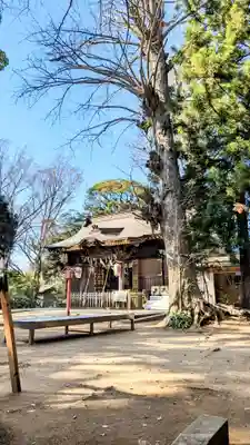 麻賀多神社の本殿・本堂