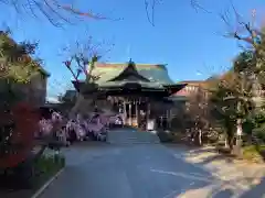 桜神宮の本殿