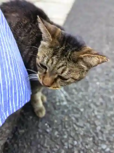 白金氷川神社(東京都)