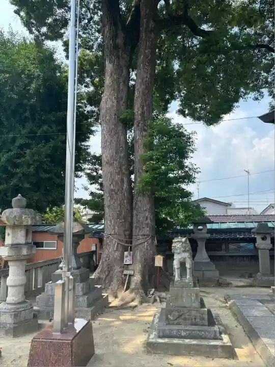 八剱神社(八剣神社)(岐阜県)