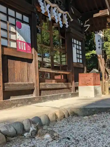 八幡社（柏井町）の動物