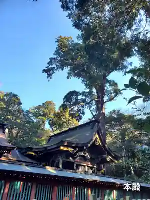 鹿島神宮(茨城県)