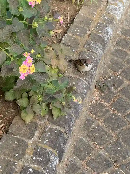 靖國神社(東京都)