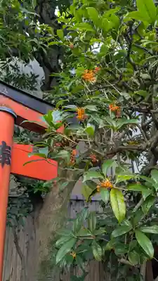 宝蔵寺(京都府)