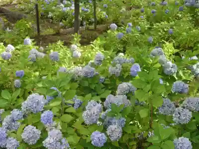 札幌御嶽神社の自然