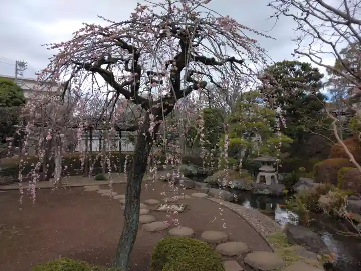 円乗院(東京都)