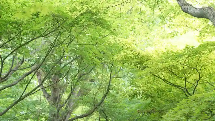 相国寺(相国承天禅寺)(京都府)