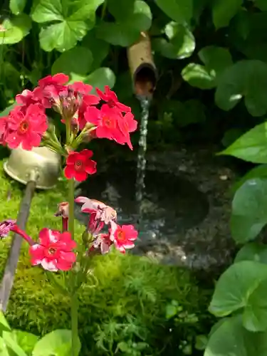 青龍山 吉祥寺の自然