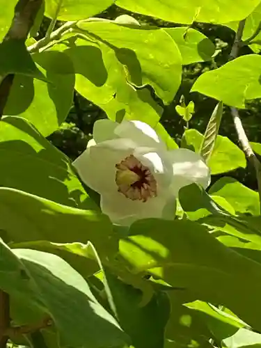 十二山神社(群馬県)