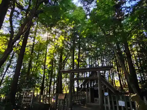 宝登山神社奥宮(埼玉県)