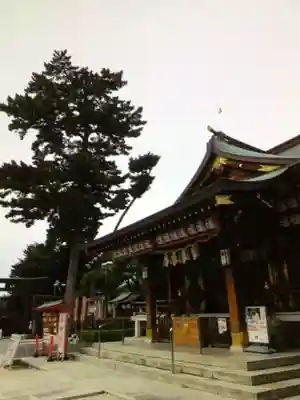 中野沼袋氷川神社(東京都)