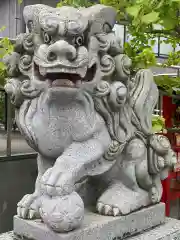 亀戸浅間神社の狛犬