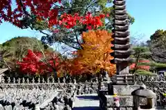 化野念仏寺(京都府)