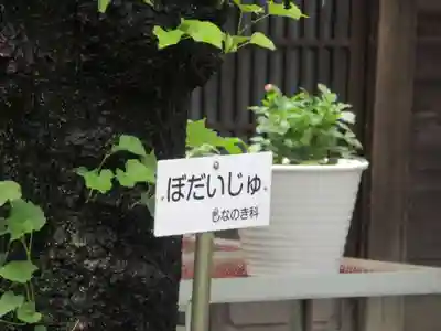 願成寺(神奈川県)