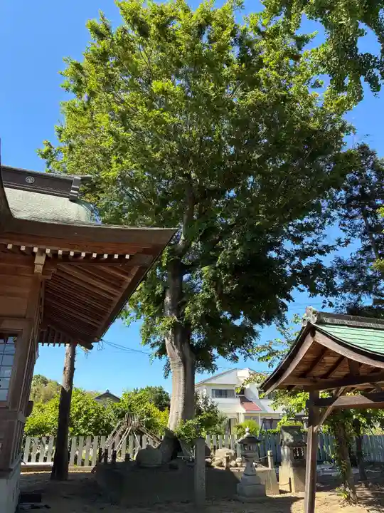 椎宮神社(徳島県)